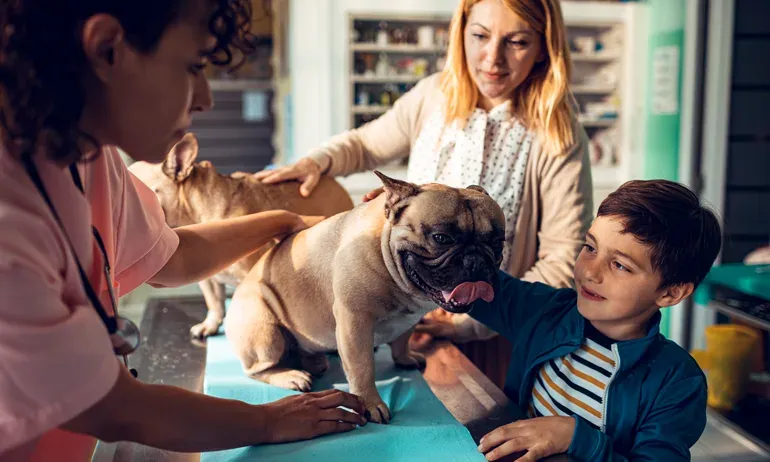 Emergency Savings Fund: Understanding Its Importance and Necessity